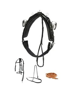 Sele komplet beta QH pro fra Finntack