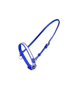 Finntack Spæregrime syntet med ring til Springrem.