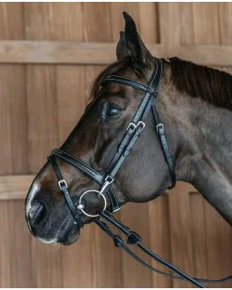 Trense med Flash Næsebånd Karabinhager Working Collection fra Dy'on