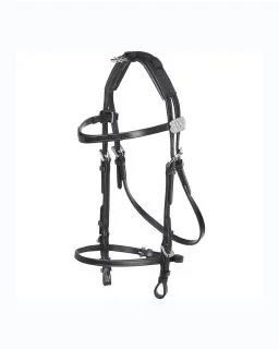 Beta Hovedlag uden check fra Wahlsten