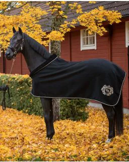 Edward Ulddækken fra Back on Track