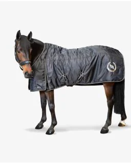 Millie Stalddækken fra Back on Track