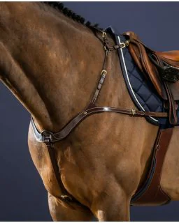 Anatomisk Fortøj D Collection fra Dy'on