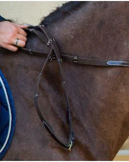 5/8 Web Tøjle med 9 Stoppere D Collection fra Dy'on