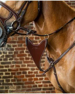 Hard BIB Martingal med Plade til Fortøj D Collection fra Dy'on