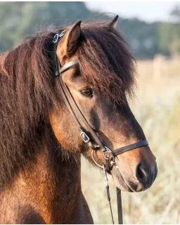 CATAGO Classic Islændertrense