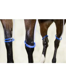 Kølesystem til ben og hove Finntack