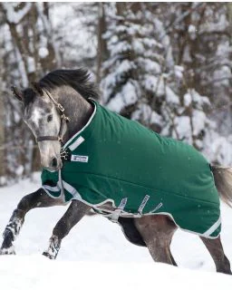Rambo Original Heavy/400G fra Horseware - Green/Silver