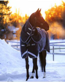 Rambo Duo 100G incl. hals & 300G liner fra Horseware - Navy/Sky Blue/ Brown