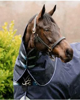 Rambo Duo Force Hood/ Hals fra Horseware