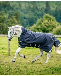 Navy/Hunter Green and Silver