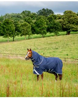  Navy/Titanium Grey and Classic Blue