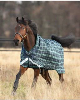 Hunter Check/Navy, Green