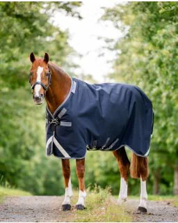 Navy/Thunderstorm Grey and Silver