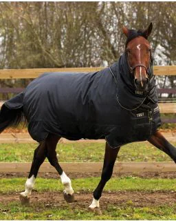 Trot Plus Heavy/350G (travheste) fra Horseware