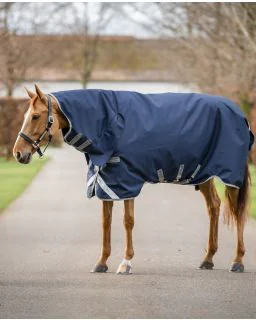 Navy/Titanium Grey and Silver