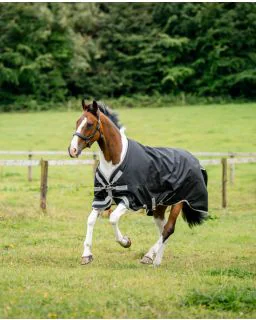 Black/Titanium Grey and Silver