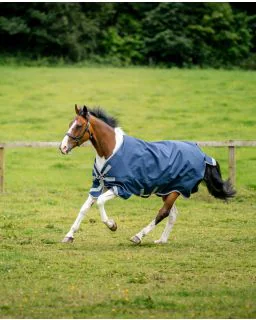Navy/Titanium Grey and Silver