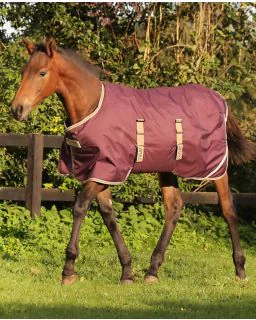 Amigo Ripstop Føldækken/ 200G fra Horseware