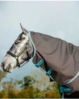 Excalibur /Aqua & Turquoise