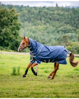 Navy/Titanium Grey and Silver