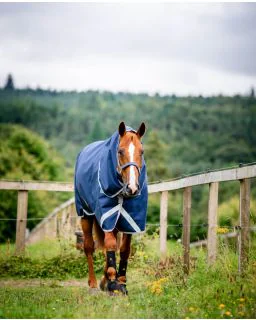 Navy/Titanium Grey and Silver