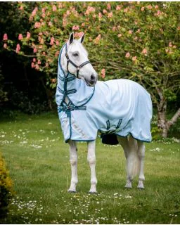 Amigo Plant Dye/50g fra Horseware - Blue/Navy