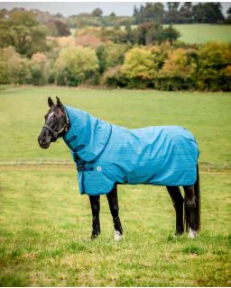 Ocean Blue/Navy and Electric Blue