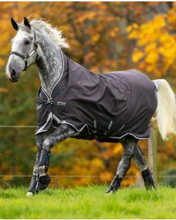 Amigo Bravo 12 Wug lite/ 0G fra Horseware - Excalibur with Plum, White and Silver