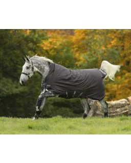 Amigo Bravo 12 Wug Medium/ 250G fra Horseware - Excalibur with Plum & Silver