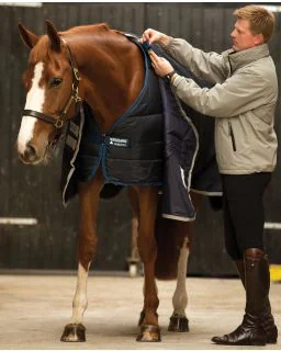 Horseware Liner 200G