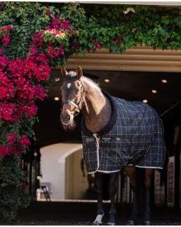 Black/Grey/White Check and Grey