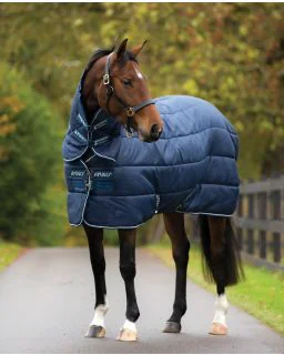 Amigo Insulator Plus Heavy fra Horseware - Navy