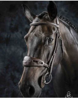 Acavallo Gel Næse- og Nakkebeskytter