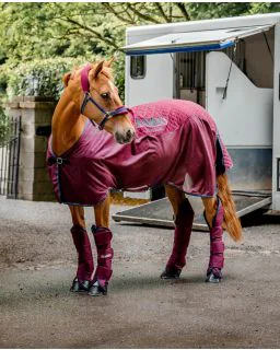 Rambo Travel Series fra Horseware - Burgundy/Burgundy, Teal, Navy