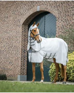 Silver/Titanium Grey and Silver