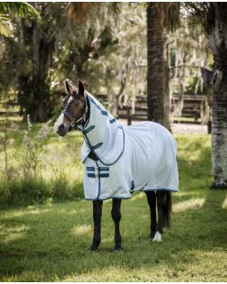  Azure Blue/Navy and Electric Blue