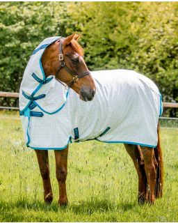 Amigo Aussie Allrounder fra Horseware - Blue Check/Electric Blue and Navy