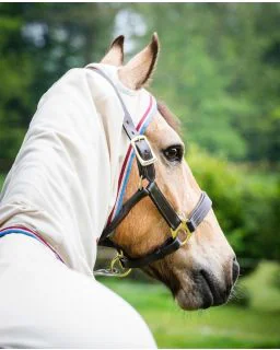 Rambo Hoody Pony fra Horseware - Sand/Cherry, Peach and Blue