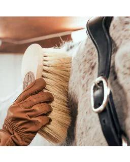 Biofarm Børste Borstiq