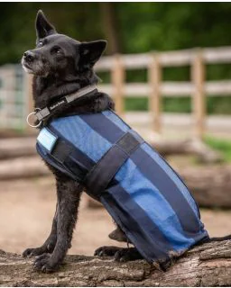 Back on Track Cool on Track hundedækken