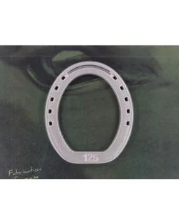 Deltacast Ringsko Hind