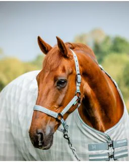 Newmarket Grime og Træktov fra Horseware