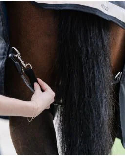 Benstropper med elastik fra Horseware