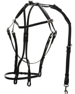 International Open Bridle - 1542