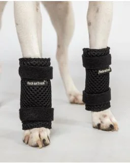 Back on Track Milo Benbandage