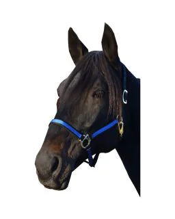 Nylongrime tofarvet TM