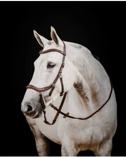 Micklem Competition II Trense fra Horseware