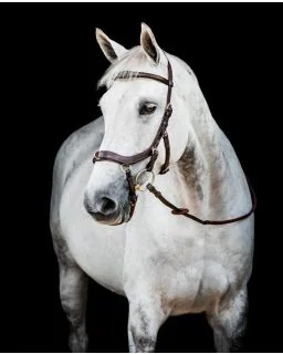 Micklem Multi II Trense fra Horseware