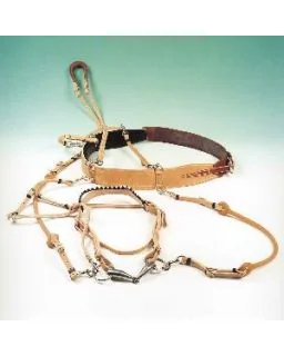 Plagsele Racing Tack